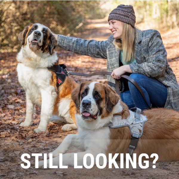 STILL LOOKING?