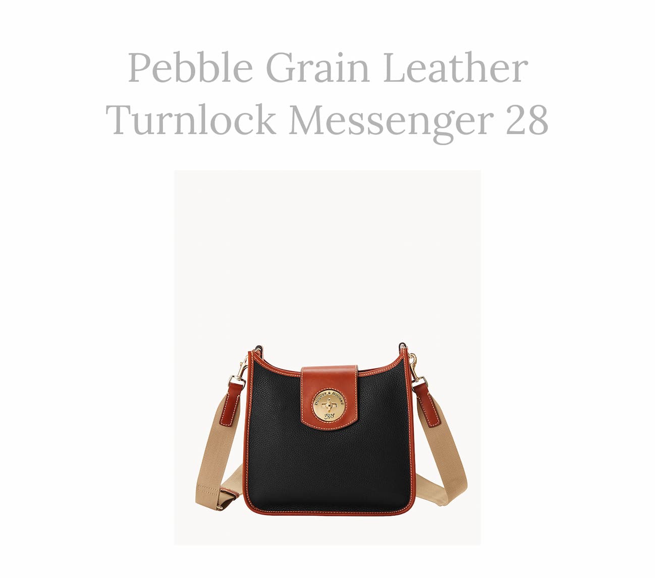 Pebble Turnlock Messenger 28