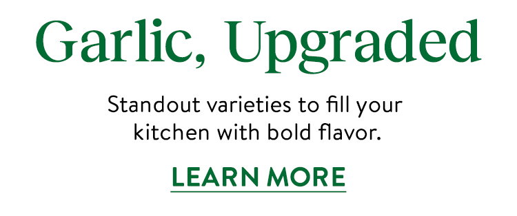 Superior Garlic Starts Here