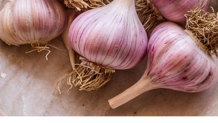 Spanish Roja Garlic Bulbs