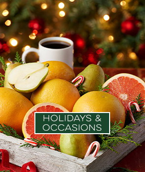HOLIDAYS & OCCASIONS
