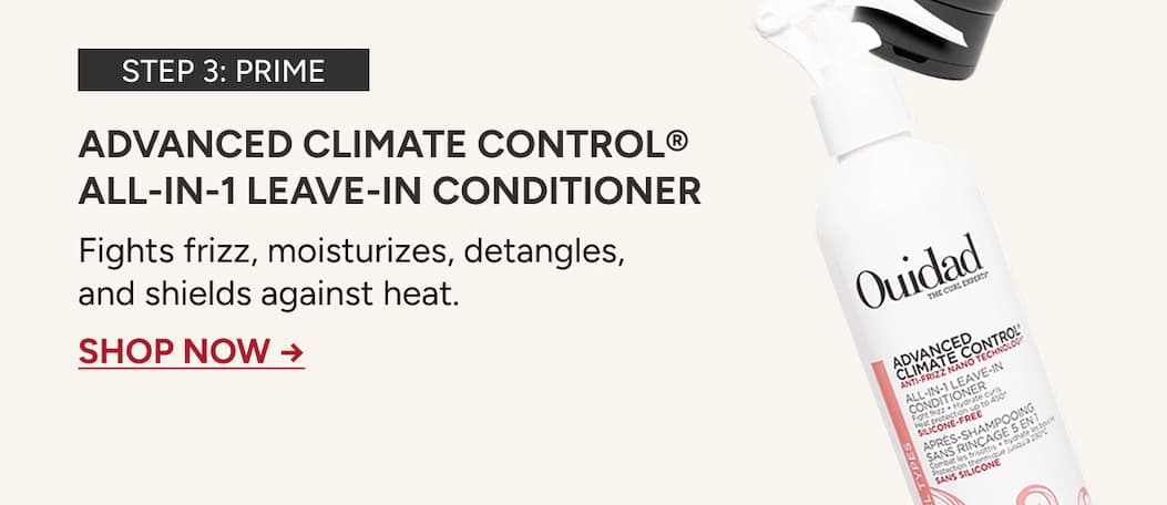 Prime: Advanced Climate Control All-in-1 Leave In Conditioner to fight frizz, moisturizes and shields against heat. 