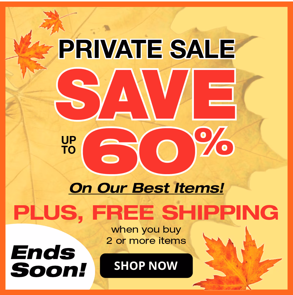 Shop the Private Sale