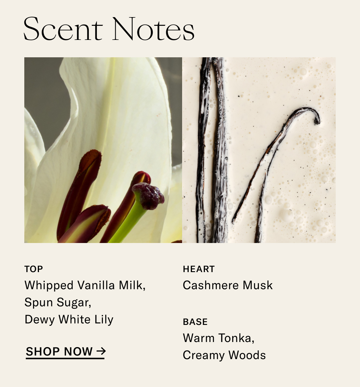 Scent Notes