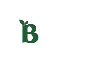 Shop Bloom