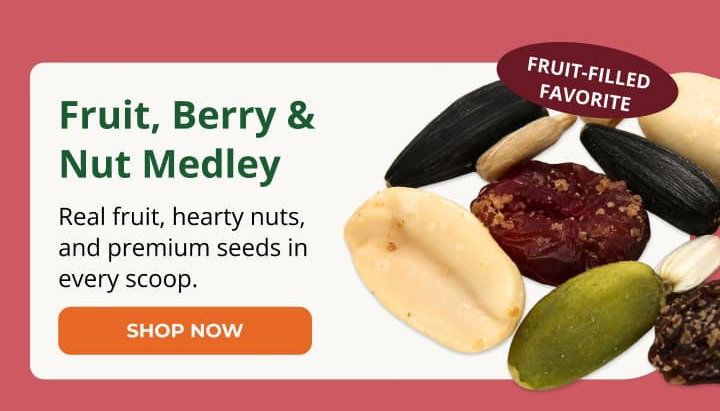 Fruit, Berry & Nut Medley