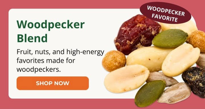 Woodpecker Blend