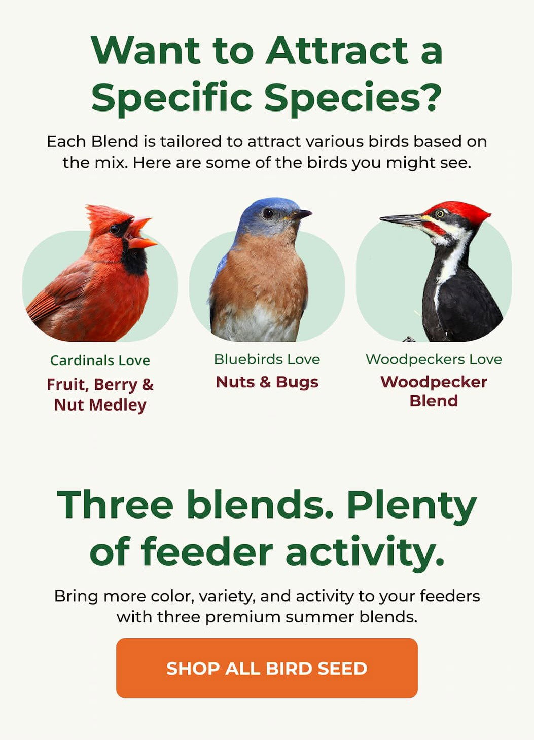 Three blends. Plenty of feeder activity.