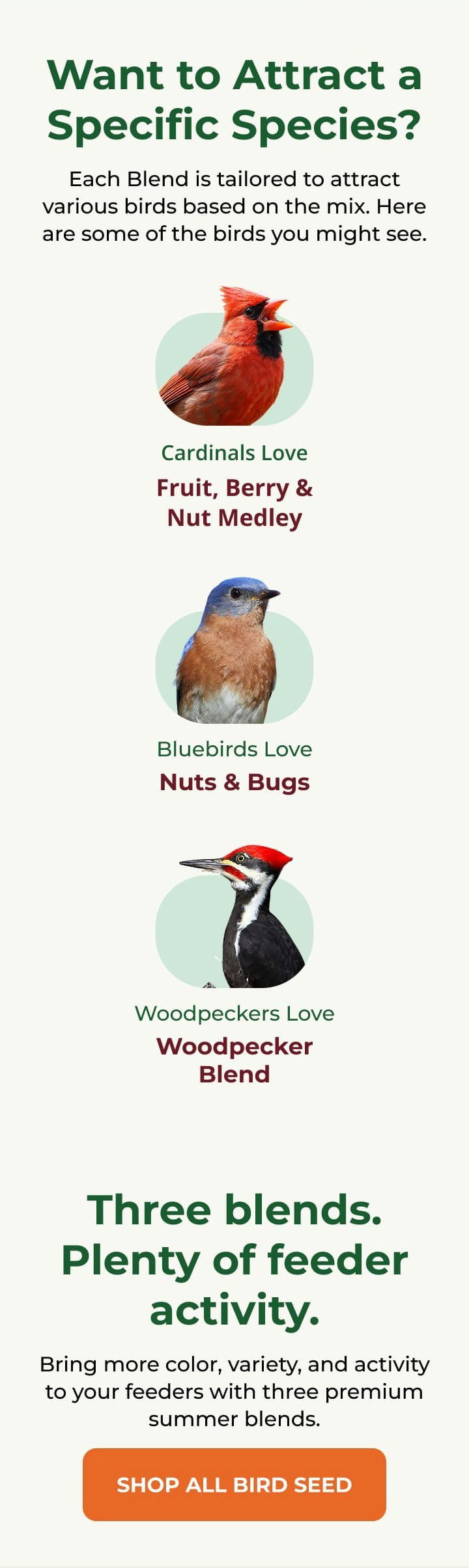 Three blends. Plenty of feeder activity.