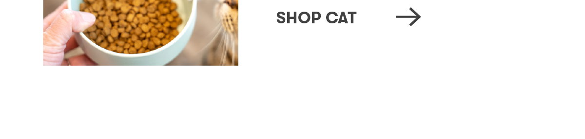 Shop Cat Food