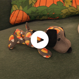 Video still image with play button. 