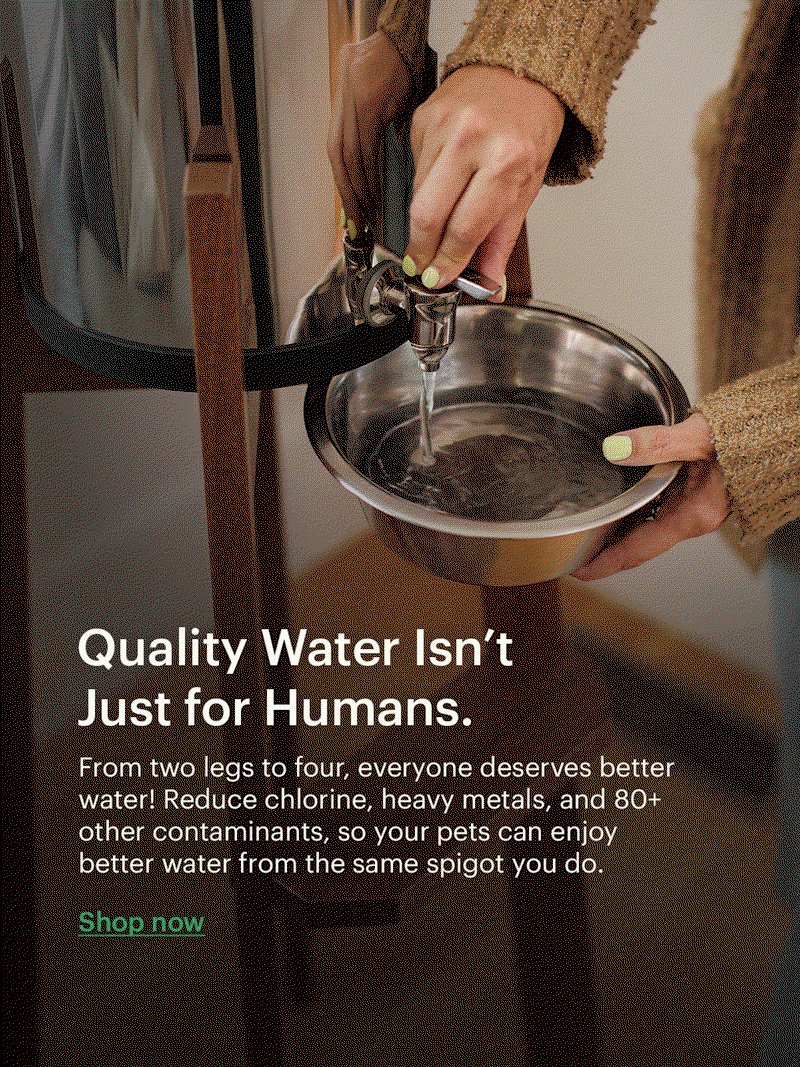 Better Water Isn't Just for Humans.