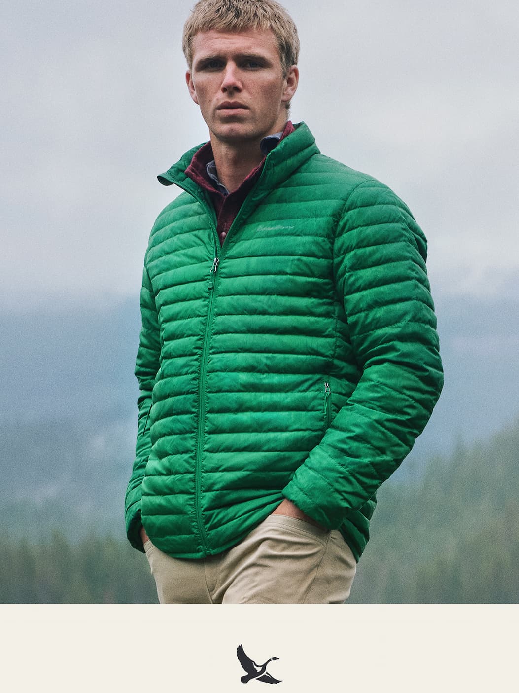 Men's Jacket Microlight Hooded