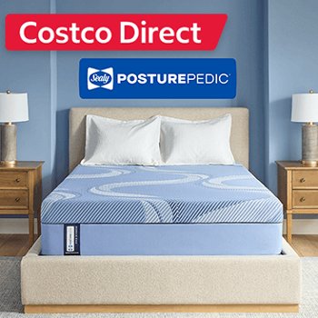 Costco Direct