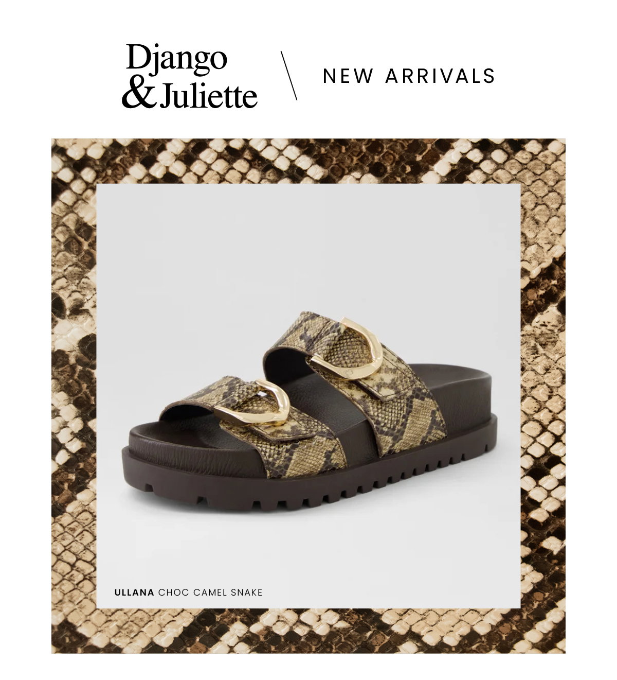 NEW ARRIVALS IN DJANGO & JULIETTE