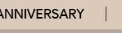 Anniversary Gifts