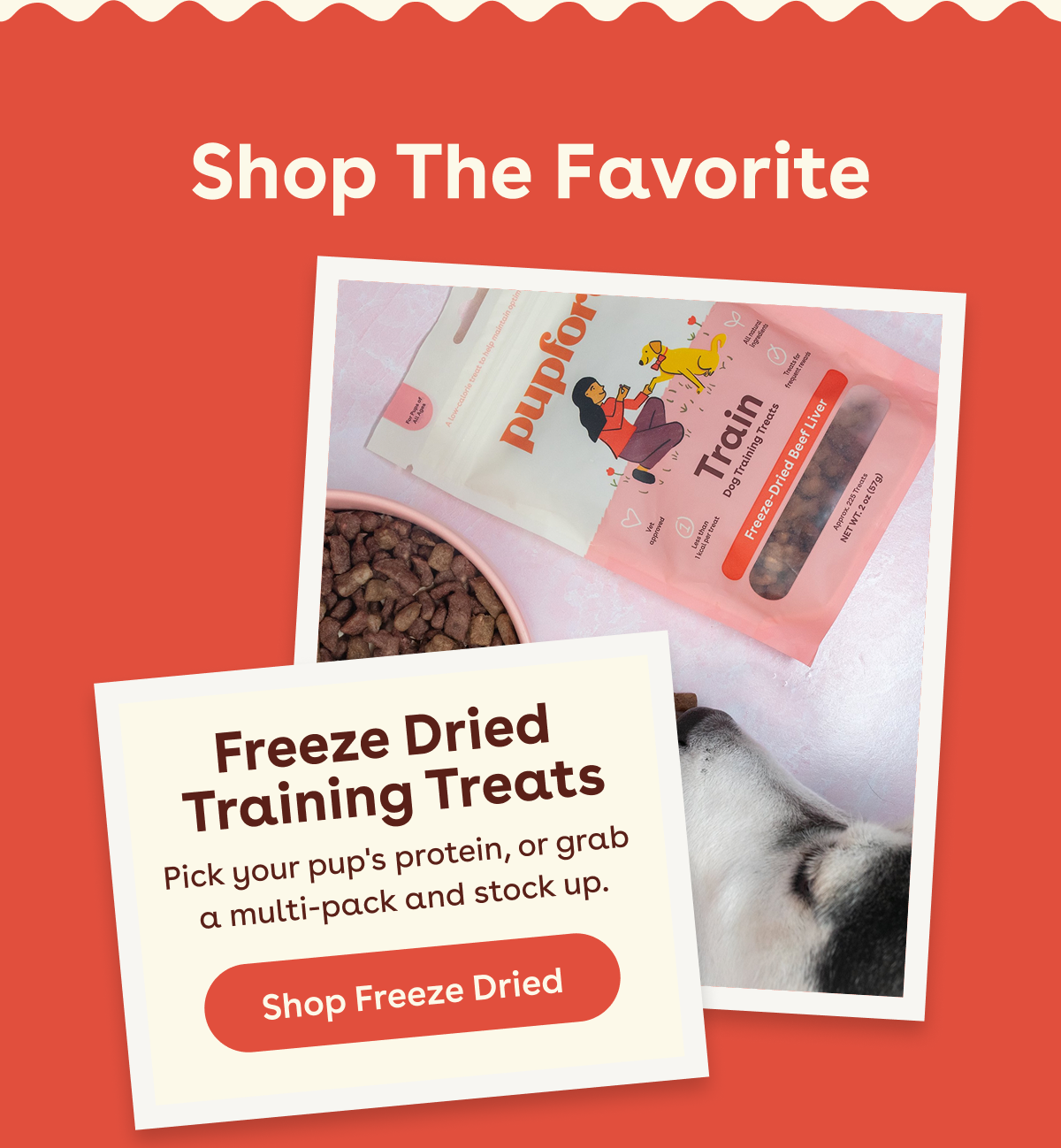 Shop freeze dried