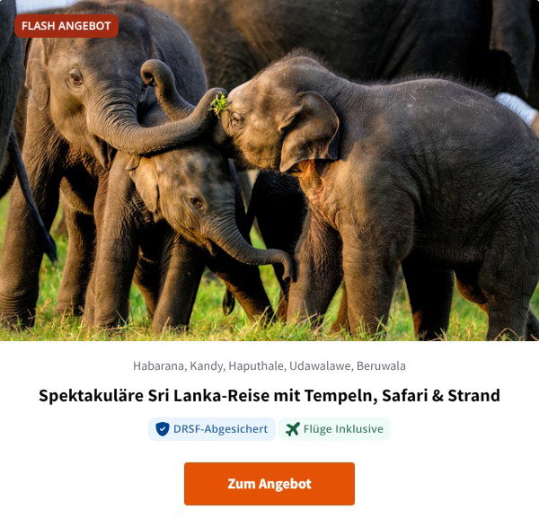 Spektakuläre Sri Lanka-Reise mit Tempeln, Safari & Strand
