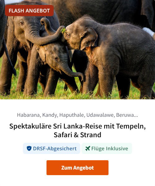 Spektakuläre Sri Lanka-Reise mit Tempeln, Safari &amp; Strand