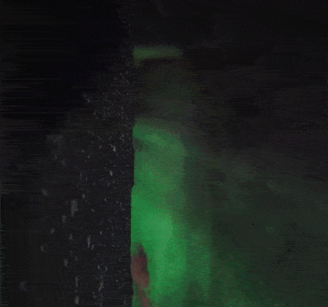 SeaWorld Orlando Howl-O-Scream