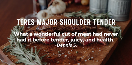 Teres Major Shoulder Tender