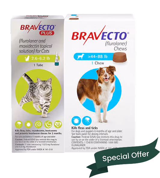 Save 15% on Bravecto.