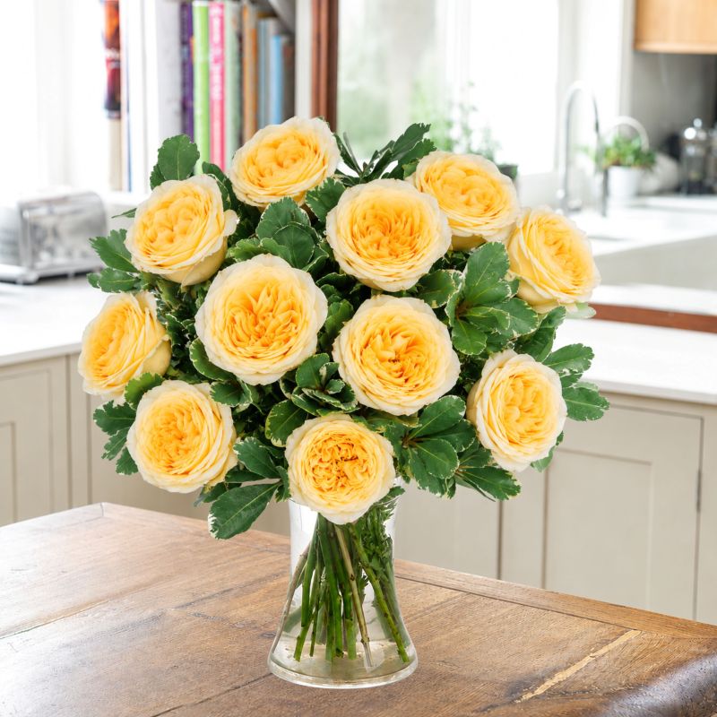 Image of 8-16 Lemon Peony Garden Roses