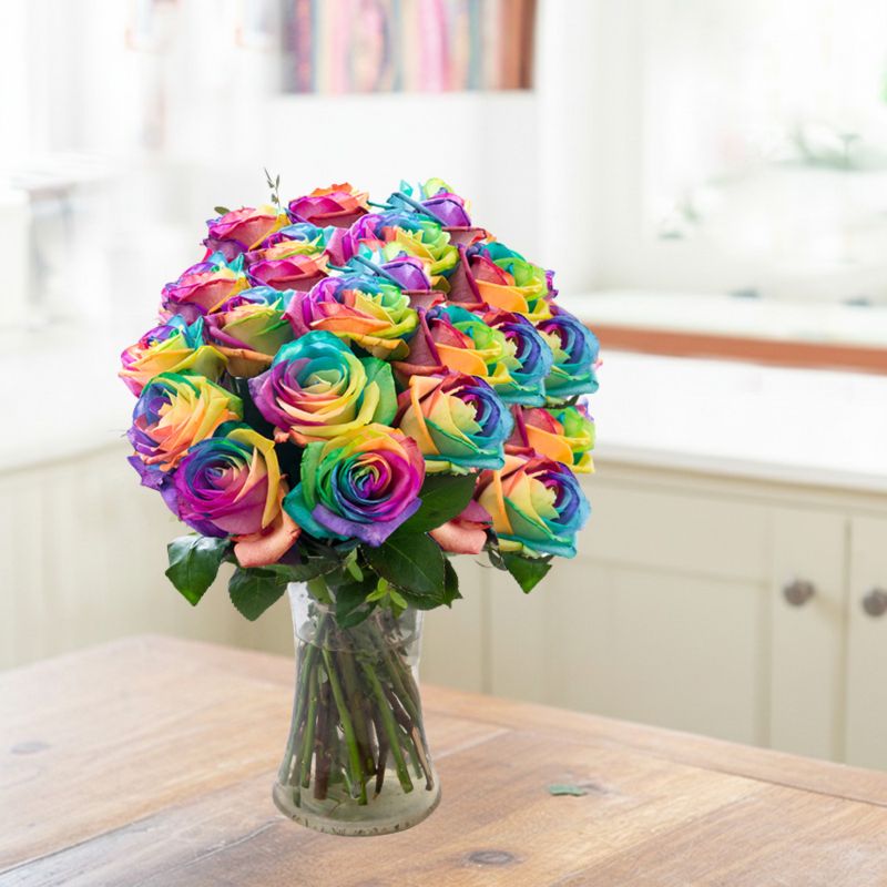 Image of 24 Rainbow Roses