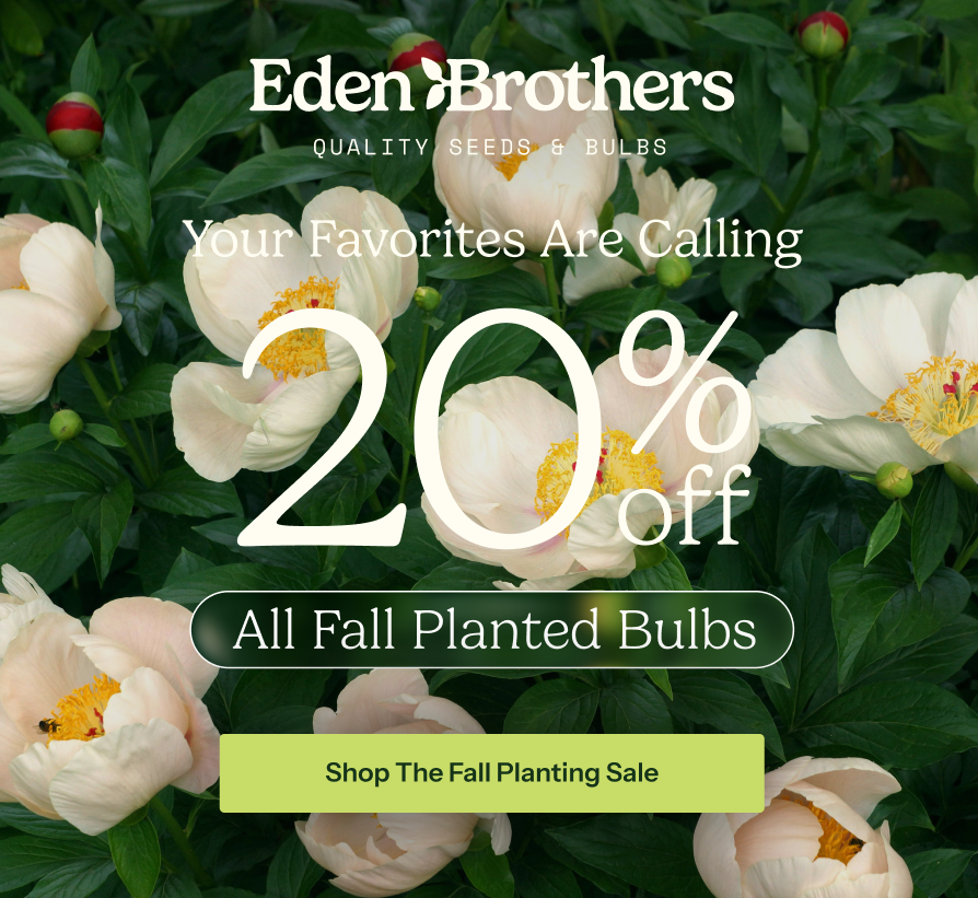20% Off Fall Bulbs