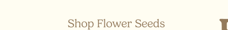 Shop Flower Seeds