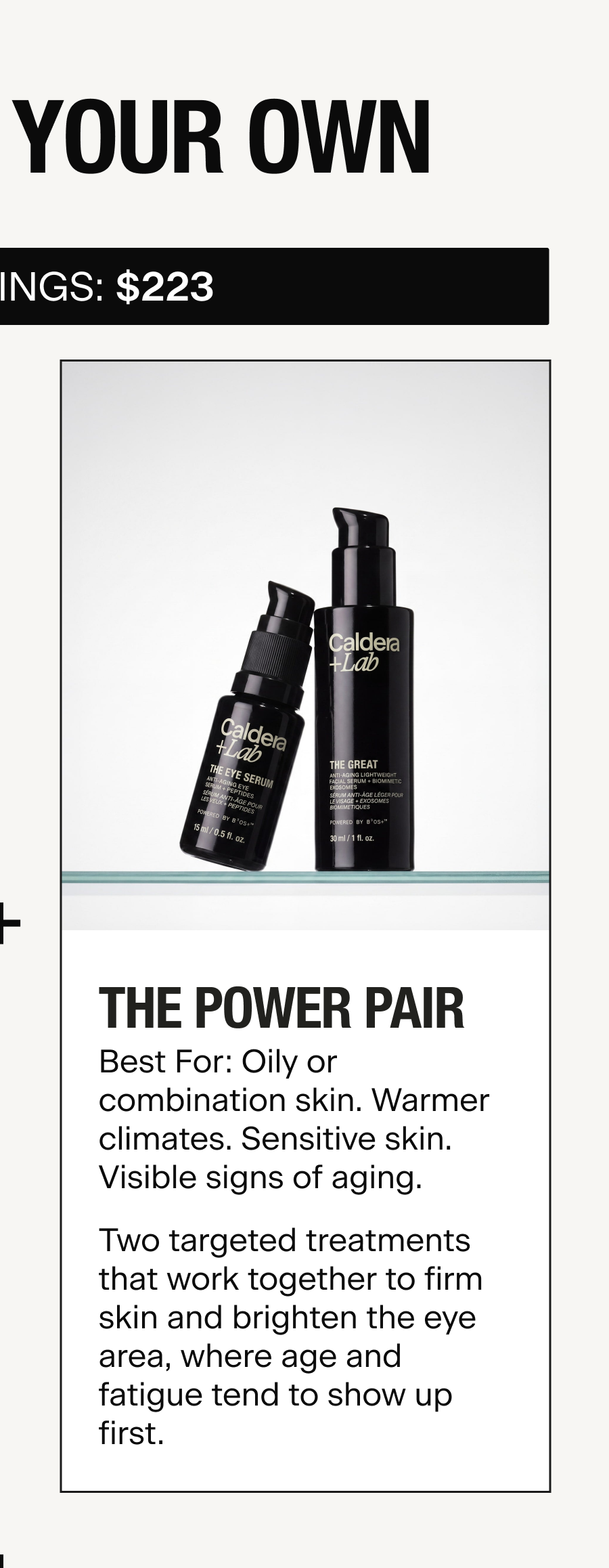 THE POWER PAIR