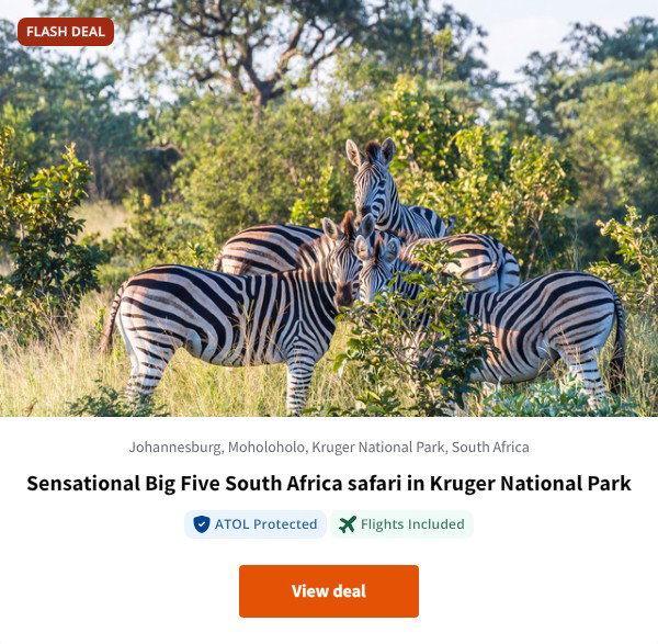 Sensational Big Five South Africa safari in Kruger National Park