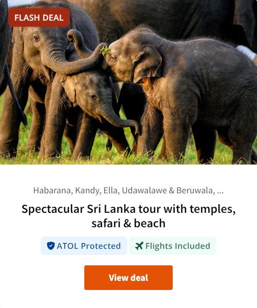 Spectacular Sri Lanka tour with temples, safari &amp; beach