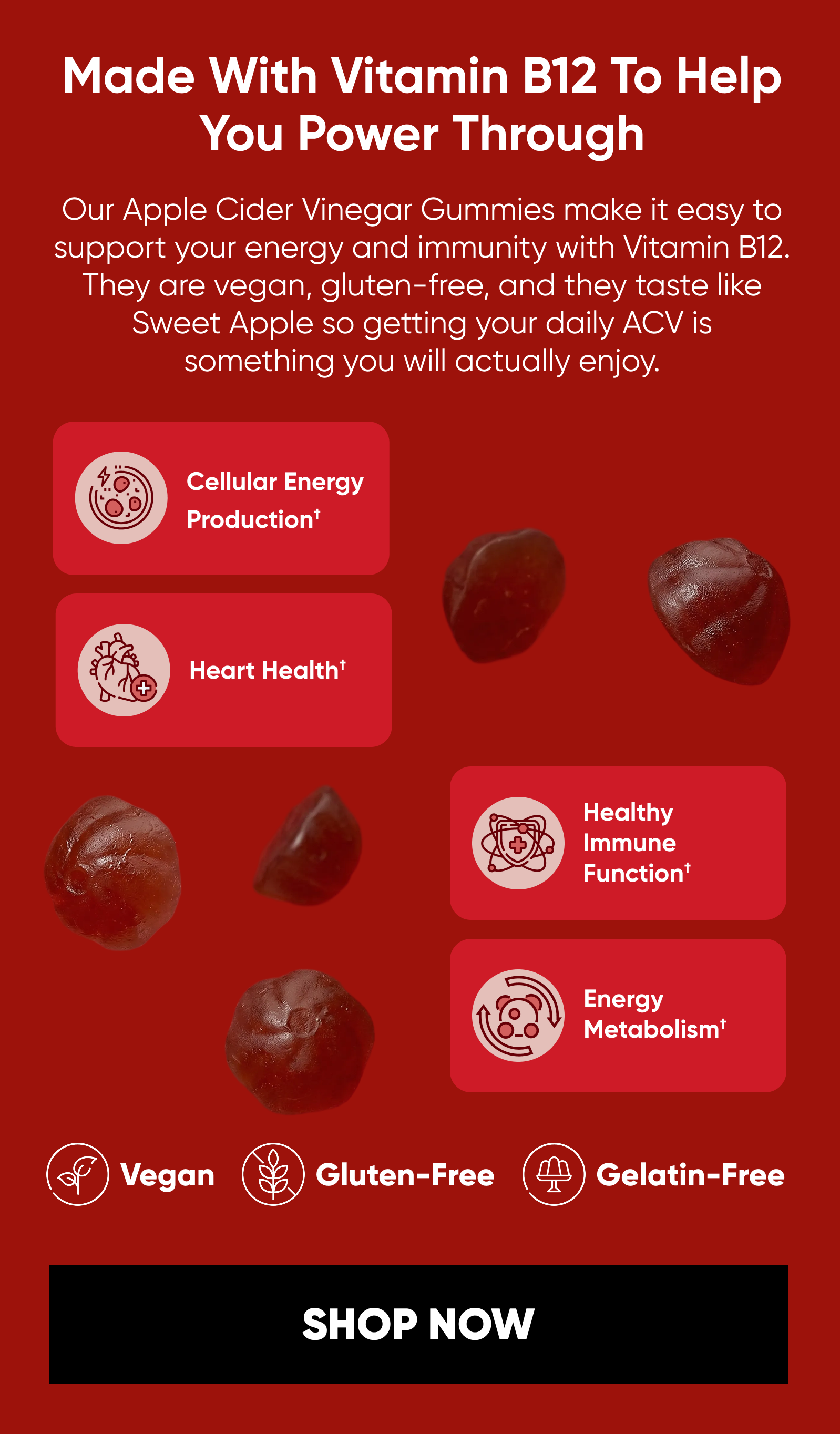 Made With Vitamin B12 To Help You Power Through Our Apple Cider Vinegar Gummies make it easy to support your energy and immunity with Vitamin B12. They are vegan, gluten-free, and they taste like Sweet Apple so getting your daily ACV is something you will actually enjoy. icons Cellular Energy Production† Heart Health† Healthy Immune Function† Energy Metabolism† Vegan | Gluten-Free | Gelatin-Free [SHOP NOW]