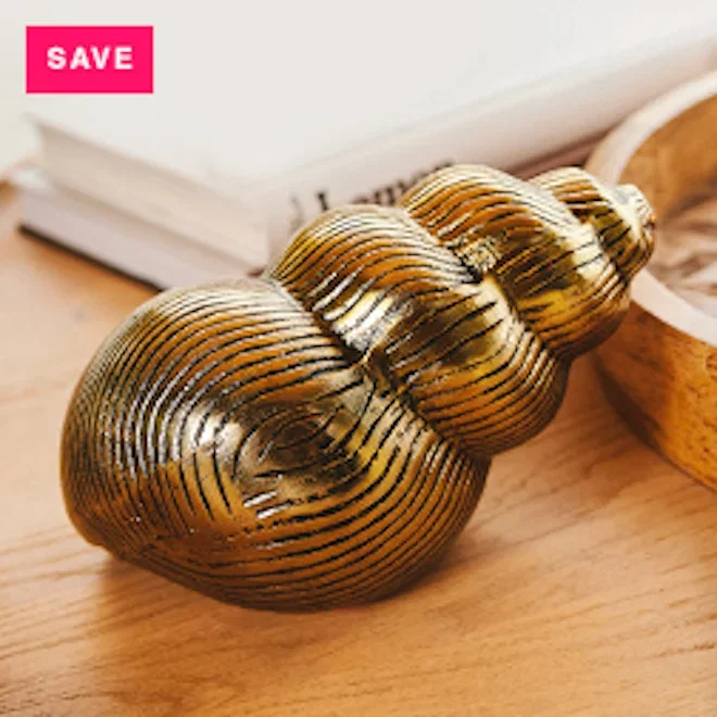 Thread Office Cast Aluminum Antique Gold Cantharus Shell