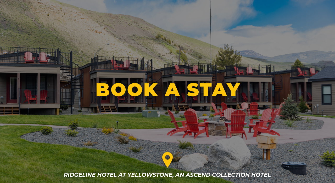 Book A Stay