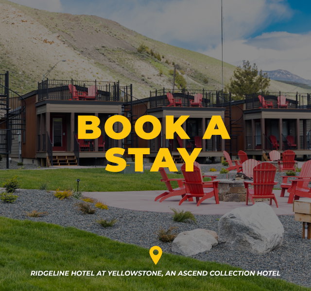 Book A Stay