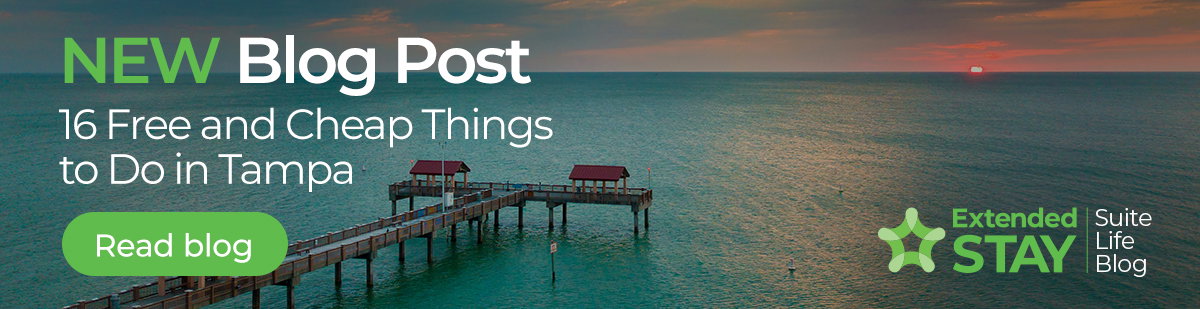 16 Free and Cheap Things to Do in Tampa
