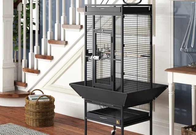 Top-Rated Bird Cages