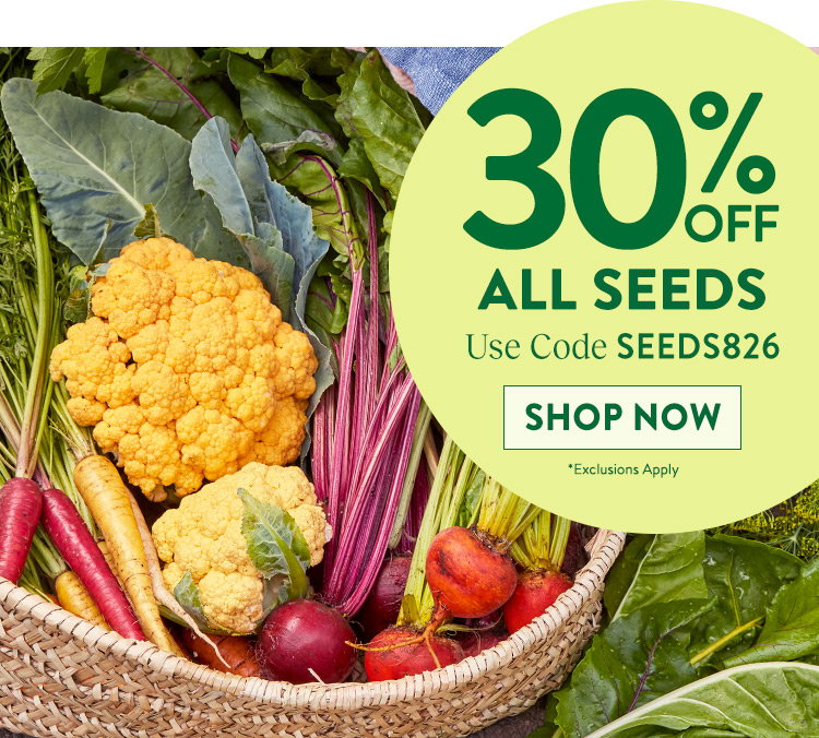 Fall Harvest Vegetables