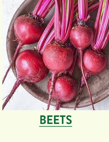 Beet Seeds