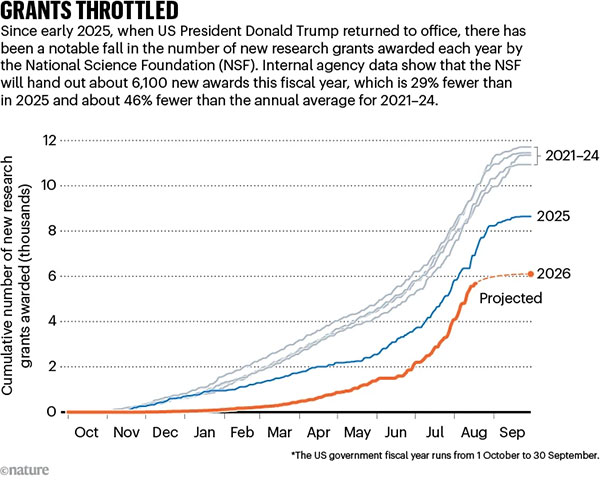 GRANTS THROTTLED. Graphic compares the number of new research grants awarded by the NSF in the years 2021–26. This year, the agency will hand out approximately 46% fewer grants than the annual average for 2021–24.