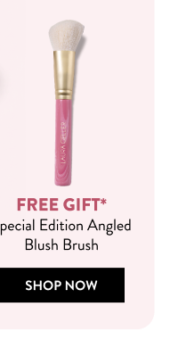 Free Gift* | Special Edition Angled Blush Brush