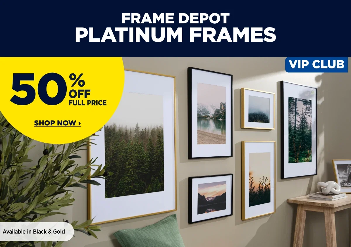FRAME DEPOT PLATINUM FRAMES