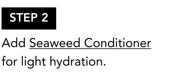 STEP 2 | Add Seaweed Conditioner for light hydration.