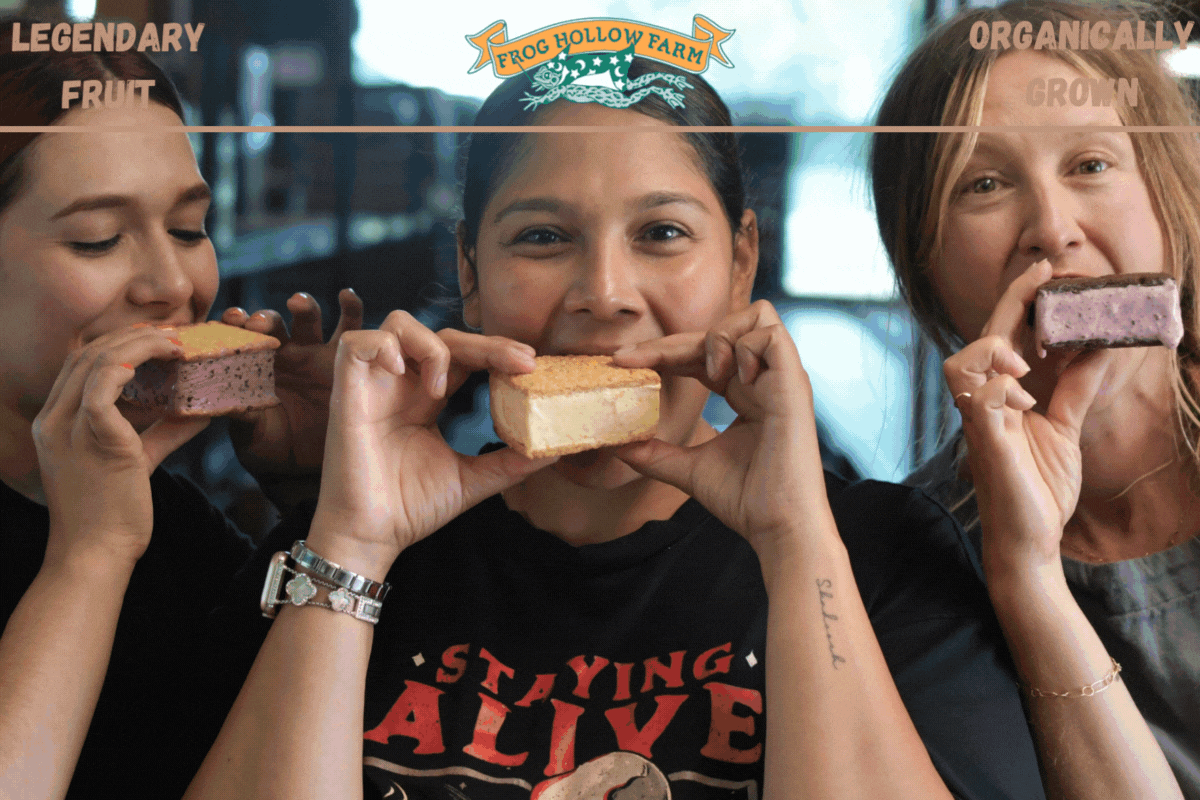 people enjoying ice cream sandwiches