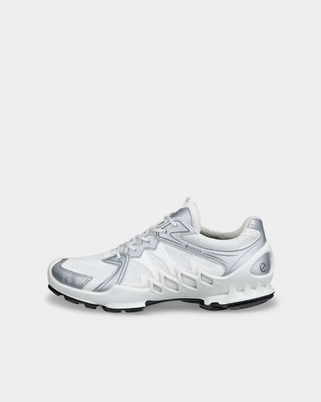 ECCO Biom Aex