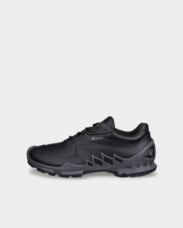 ECCO Biom Aex