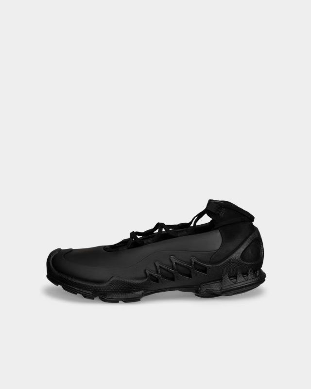 ECCO Biom Aex