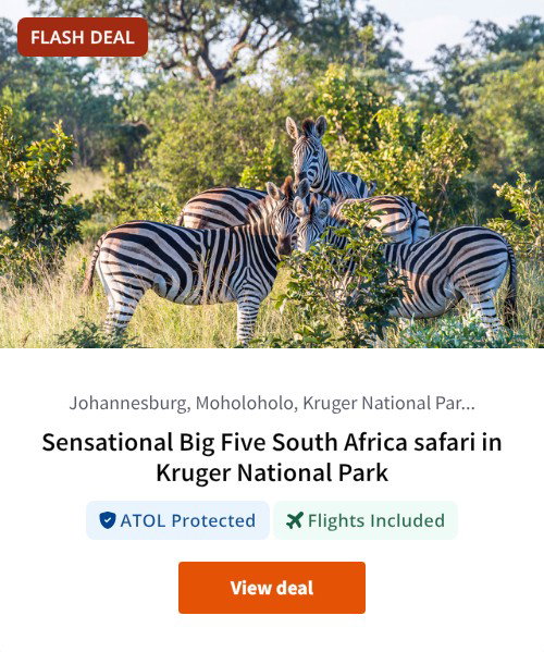 Sensational Big Five South Africa safari in Kruger National Park